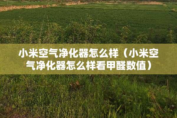 小米空气净化器怎么样（小米空气净化器怎么样看甲醛数值）