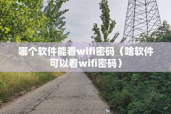 哪个软件能看wifi密码（啥软件可以看wifi密码）