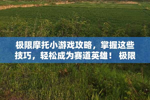 极限摩托小游戏攻略，掌握这些技巧，轻松成为赛道英雄！ 极限摩托小游戏攻略