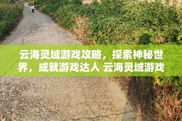 云海灵域游戏攻略，探索神秘世界，成就游戏达人 云海灵域游戏攻略
