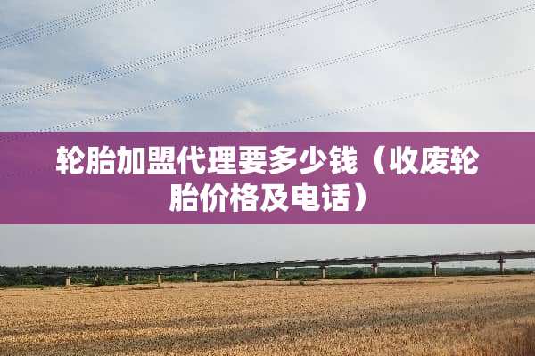 轮胎加盟代理要多少钱（收废轮胎价格及电话）