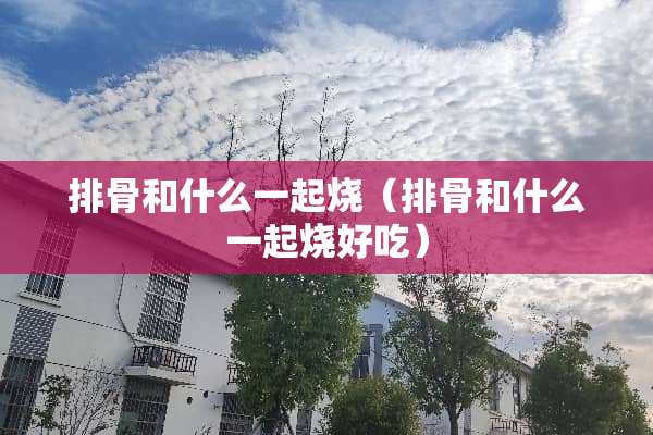 排骨和什么一起烧（排骨和什么一起烧好吃）