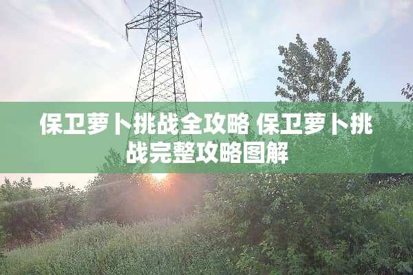 保卫萝卜挑战全攻略 保卫萝卜挑战完整攻略图解