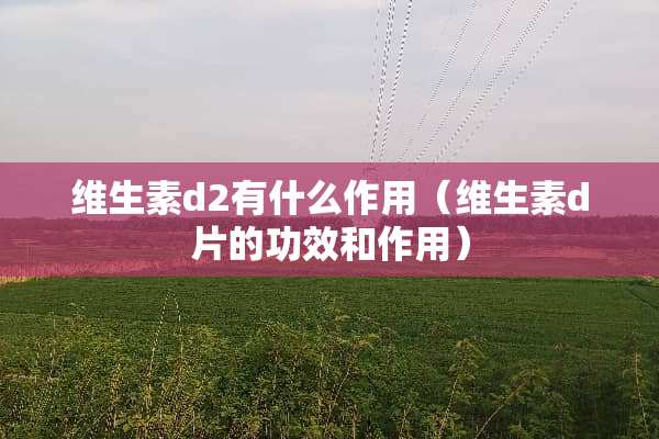 维生素d2有什么作用（维生素d片的功效和作用）