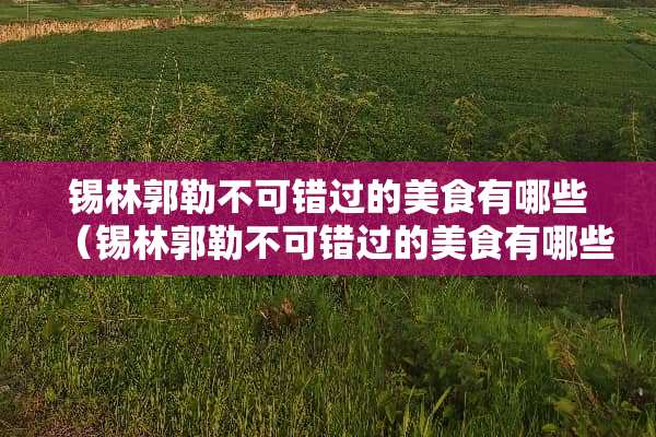 锡林郭勒不可错过的美食有哪些（锡林郭勒不可错过的美食有哪些呢）