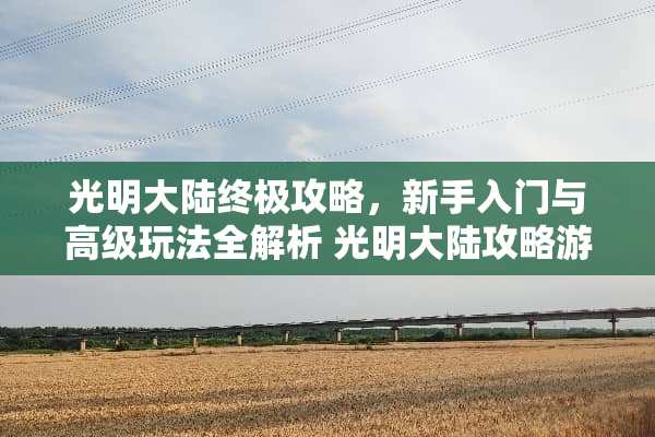 光明**终极攻略，新手入门与高级玩法全解析 光明**攻略游戏
