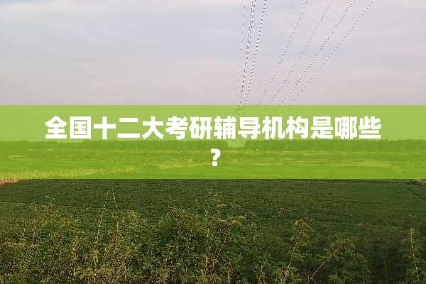 全国十二大考研辅导机构是哪些？