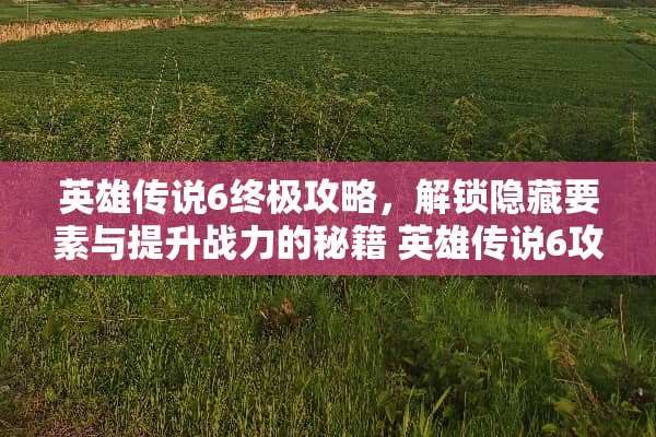 英雄传说6终极攻略，解锁隐藏要素与提升战力的秘籍 英雄传说6攻略