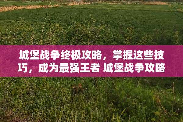 城堡战争终极攻略，掌握这些技巧，成为最强王者 城堡战争攻略