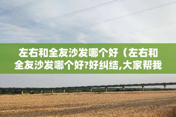 左右和全友沙发哪个好（左右和全友沙发哪个好?好纠结,大家帮我选选）