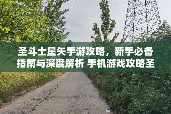 圣斗士星矢手游攻略，新手必备指南与深度解析 手机游戏攻略圣斗士星矢