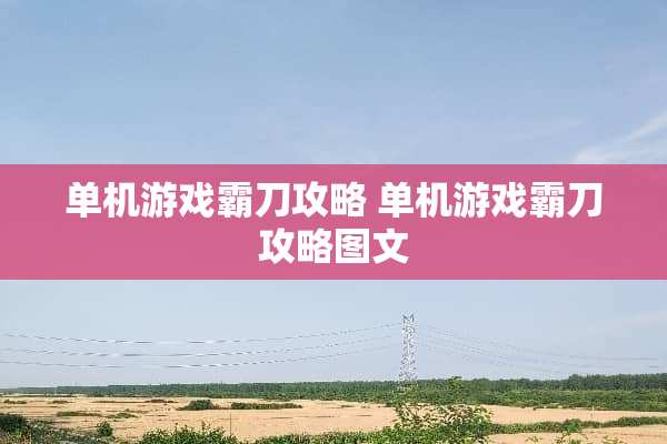 单机游戏霸刀攻略 单机游戏霸刀攻略图文