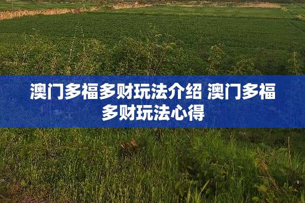 **多福多财玩法介绍**多福多财玩法心得