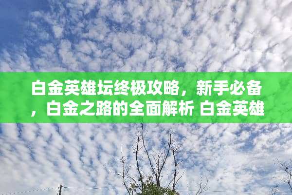 白金英雄坛终极攻略，新手必备，白金之路的全面解析 白金英雄坛攻略
