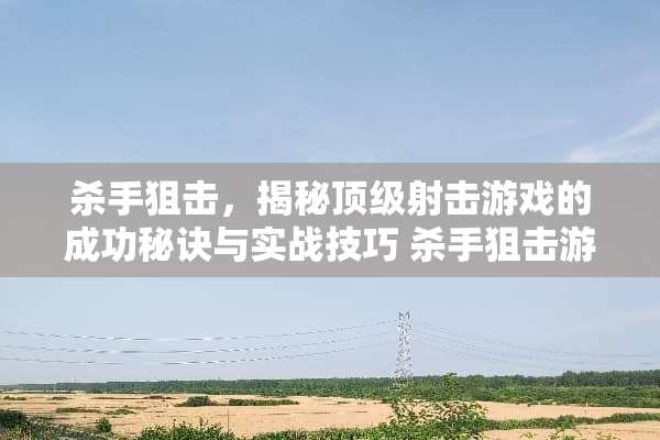 ****，揭秘**射击游戏的成功秘诀与实战技巧****游戏攻略
