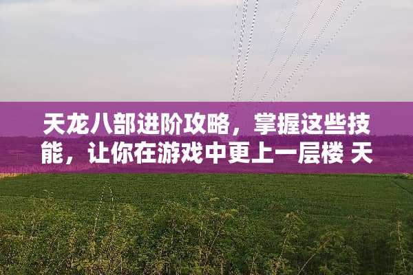 天龙八部进阶攻略，掌握这些技能，让你在游戏中更上一层楼 天龙八部天龙进阶技能