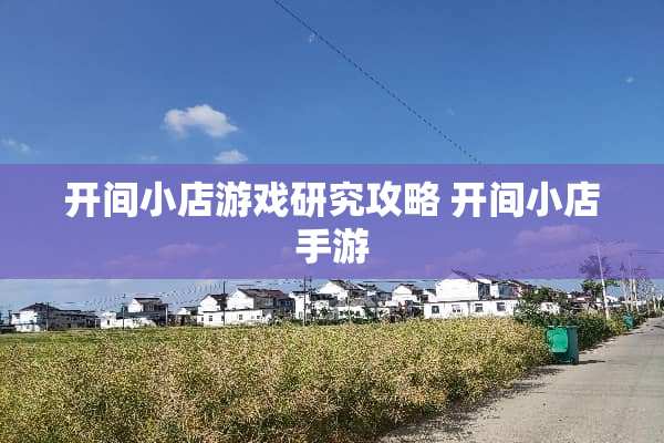 开间小店游戏研究攻略 开间小店手游
