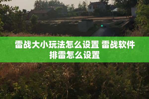 雷战大小玩法怎么设置 雷战软件排雷怎么设置