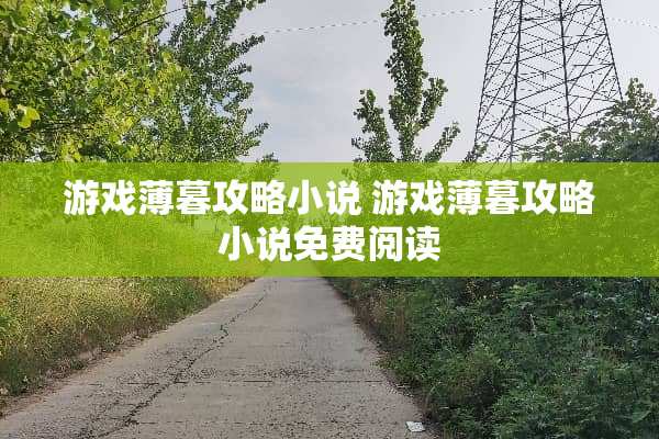 游戏薄暮攻略小说 游戏薄暮攻略小说免费阅读