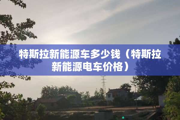 特斯拉新能源车多少钱（特斯拉新能源电车价格）