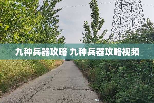 九种兵器攻略 九种兵器攻略视频