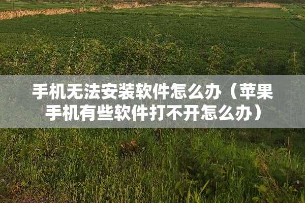 手机无法安装软件怎么办（苹果手机有些软件打不开怎么办）