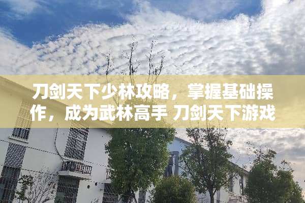 刀剑天下少林攻略，掌握基础操作，成为武林高手 刀剑天下游戏少林攻略