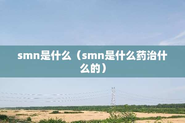 smn是什么（smn是什么药治什么的）