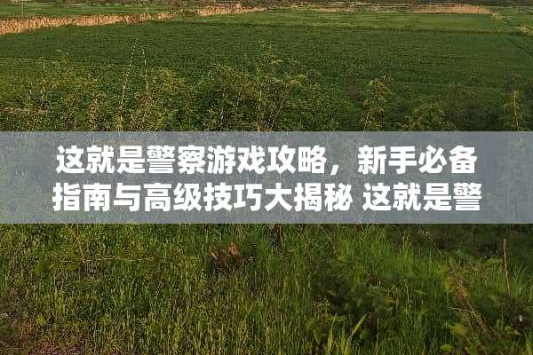 这就是**游戏攻略，新手必备指南与高级技巧大揭秘 这就是**攻略