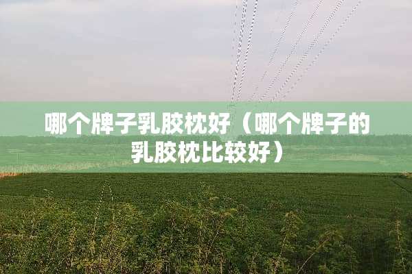 哪个牌子*胶枕好（哪个牌子的*胶枕比较好）