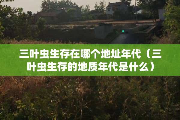 三叶虫生存在哪个地址年代（三叶虫生存的地质年代是什么）