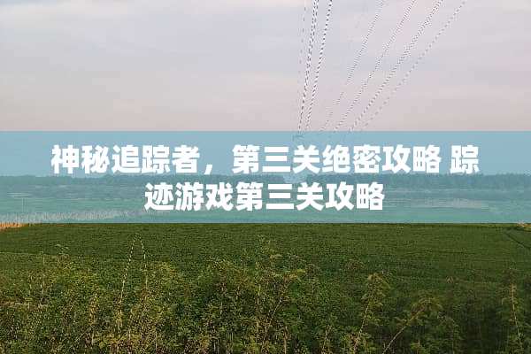 神秘追踪者，第三关绝密攻略 踪迹游戏第三关攻略