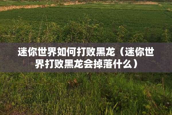 迷你世界如何打败黑龙（迷你世界打败黑龙会掉落什么）