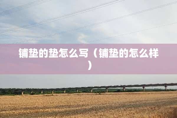 铺垫的垫怎么写（铺垫的怎么样）