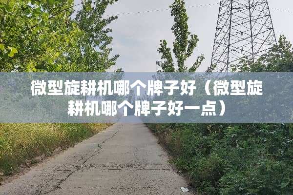 微型旋耕机哪个牌子好（微型旋耕机哪个牌子好一点）