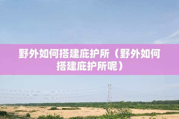 野外如何搭建庇护所（野外如何搭建庇护所呢）