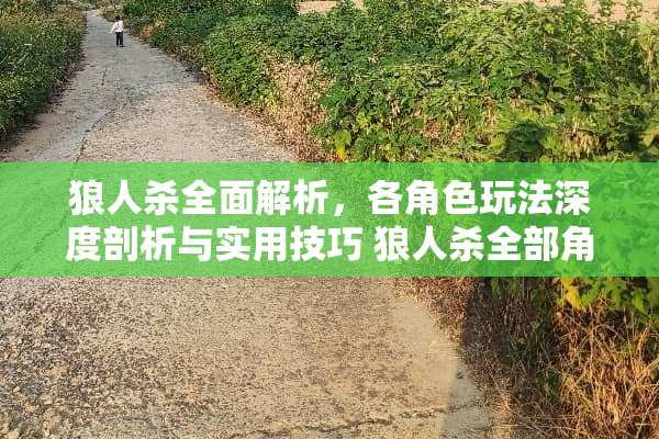 狼人杀全面解析，各角色玩法深度剖析与实用技巧 狼人杀全部角色玩法
