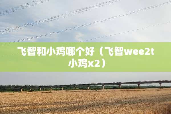 飞智和小鸡哪个好（飞智wee2t 小鸡x2）