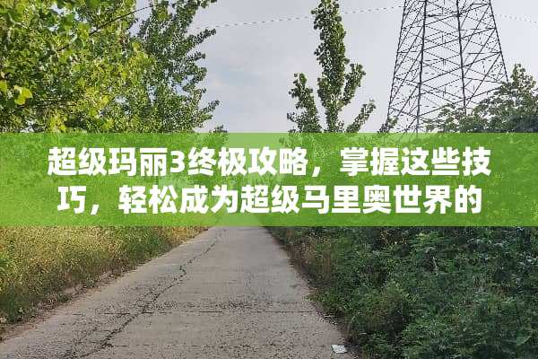 超级玛丽3终极攻略，掌握这些技巧，轻松成为超级马里奥世界的王者 超级玛丽3攻略