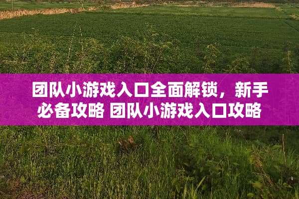 团队小游戏入口全面解锁，新手必备攻略 团队小游戏入口攻略