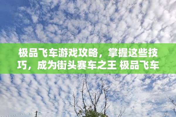极品飞车游戏攻略，掌握这些技巧，成为街头赛车之王 极品飞车游戏攻略