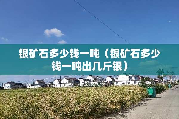 银矿石多少钱一吨（银矿石多少钱一吨出几斤银）