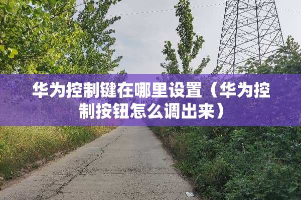 华为控制键在哪里设置（华为控制按钮怎么调出来）
