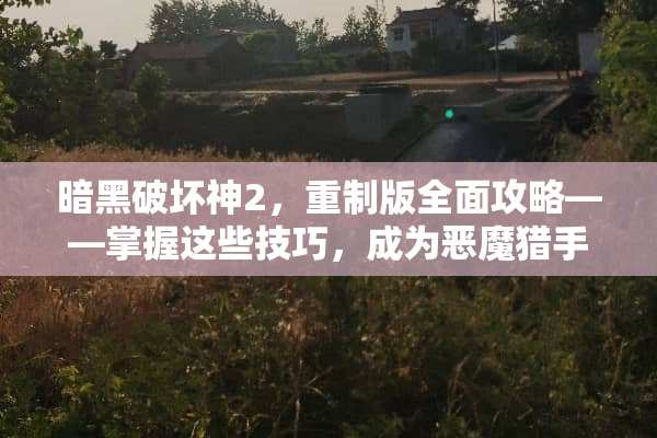 暗黑破坏神2，重制版全面攻略——掌握这些技巧，成为恶魔猎手之路上的佼佼者 暗黑破坏神不朽攻略