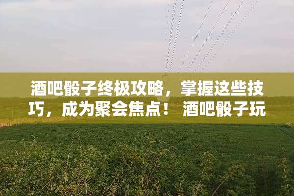 酒吧**终极攻略，掌握这些技巧，成为聚会焦点！ 酒吧**玩法及讲解