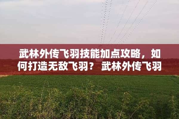 武林外传飞羽技能加点攻略，如何打造无敌飞羽？ 武林外传飞羽技能加点