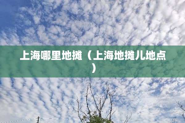 上海哪里地摊（上海地摊儿地点）
