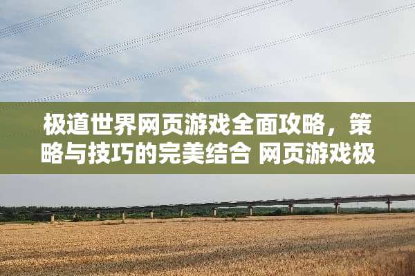极道世界网页游戏全面攻略，策略与技巧的完美结合 网页游戏极道世界攻略