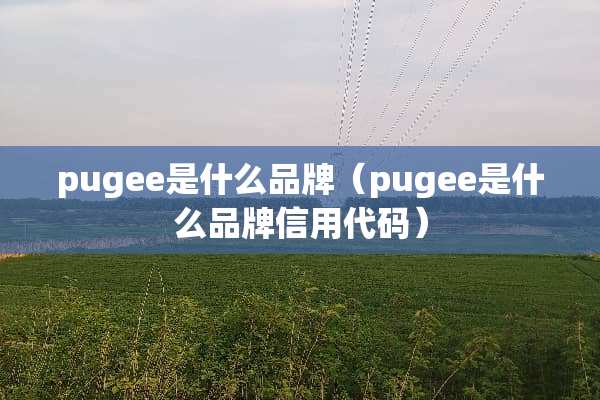 pugee是什么品牌（pugee是什么品牌信用代码）