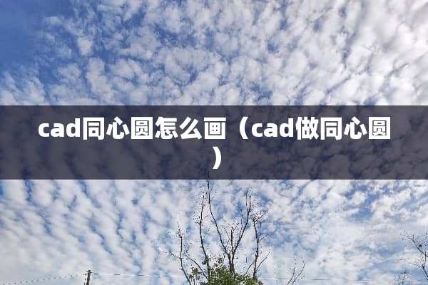 cad同心圆怎么画（cad做同心圆）